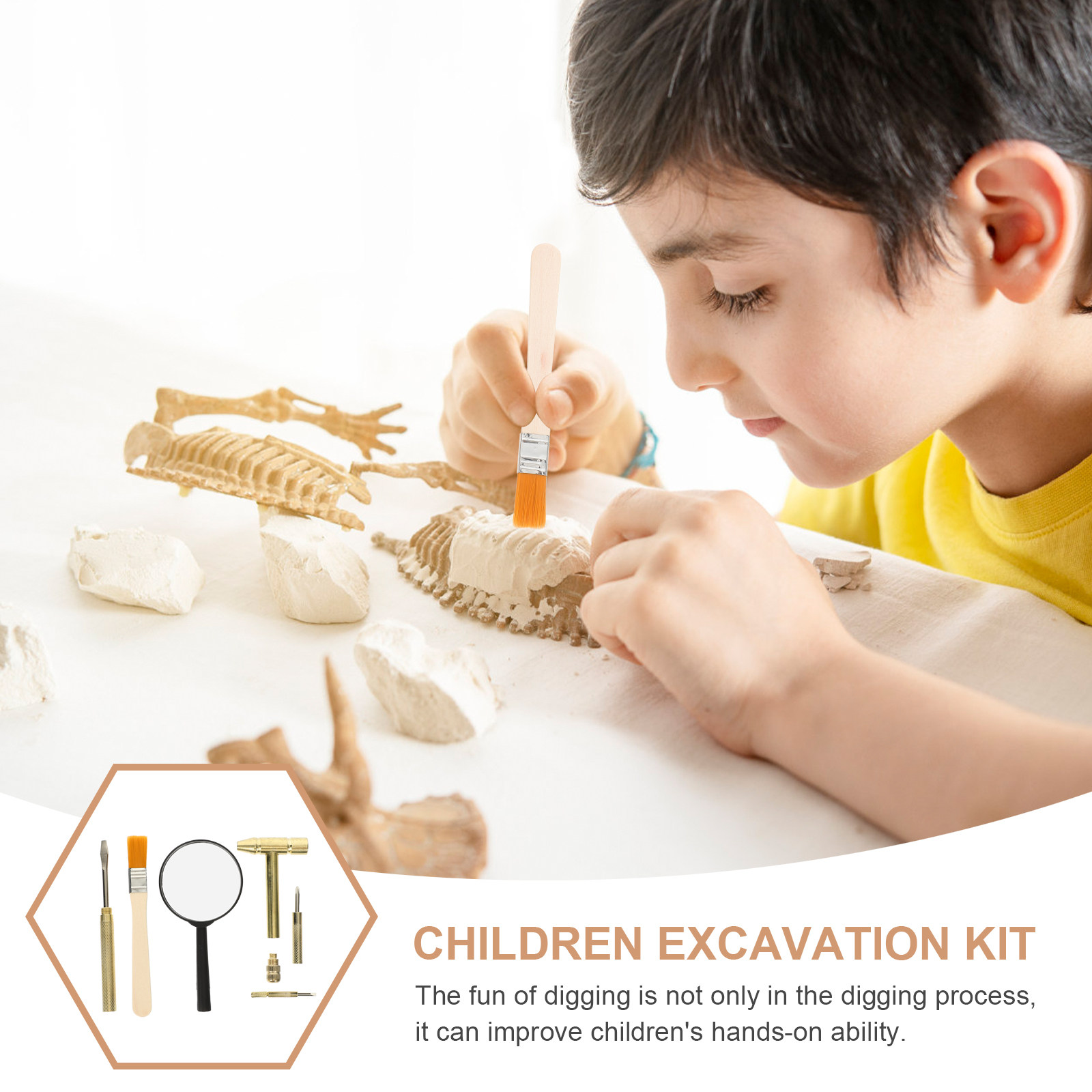 1 Set Kinder-Ausgrabungswerkze – Science Toy Bewertung und Preis